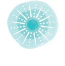 LITTLE URCHIN