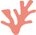 reef peach